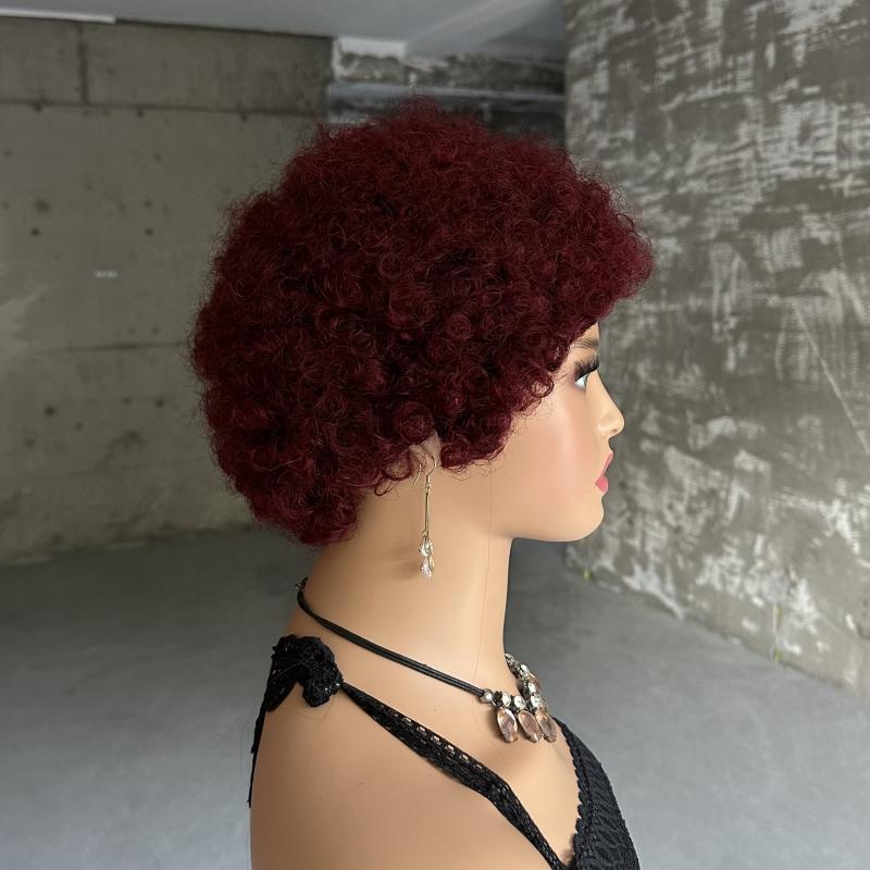 Afro Curly Wave Brazilian Human Hair Wig - Kinky Curly Wig