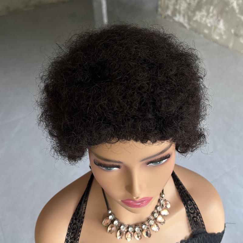 Afro Curly Wave Brazilian Human Hair Wig - Kinky Curly Wig
