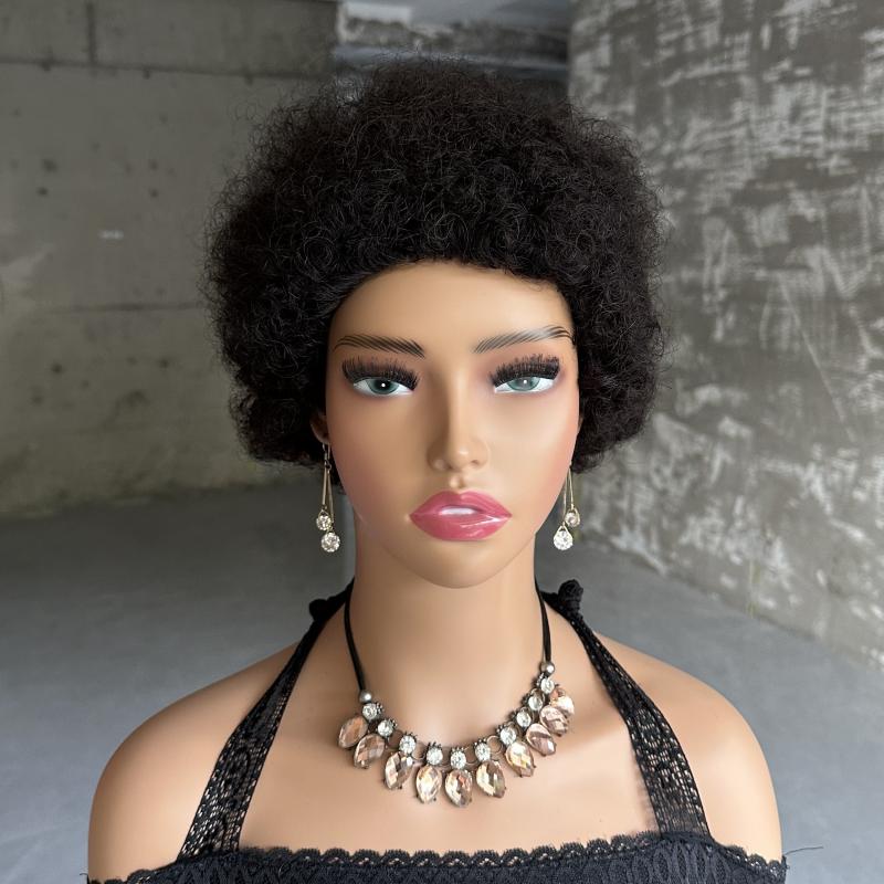 Afro Curly Wave Brazilian Human Hair Wig - Kinky Curly Wig
