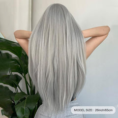 Silvery Grey Straight Hair Wigs With Bangs Heat-Resistant Synthetic Hair