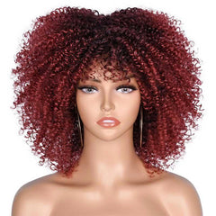 25 4 Cm Short Afro Kinky Curly Hair Wigs With Bangs For Women Synthetic Ombre