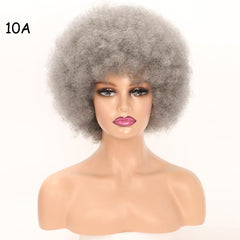 Short Afro Kinky Curly Hair Wig - Natural Looking Synthetic Wig for Women