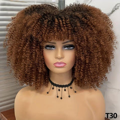 Afro Kinky Curly Hair Wig For Women Synthetic High Temperature Fiber Hair Wig