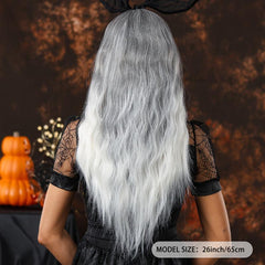 66 cm Long Curly Ombre Wigs Synthetic Curly Wavy Wig for Women