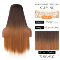 Gradient 5 Barrette Clip In Hair Extensions for Women