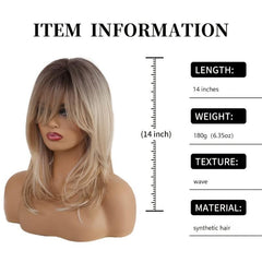 Long Straight Layered Wig Ombre Bangs