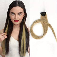 60 96 Cm Clip In Hair Extensions Party Highlights Streaks