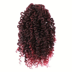 8 Inch Curly Crochet Hair Braids 10 Strands Pack
