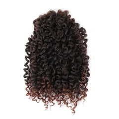 8 Inch Curly Crochet Hair Braids 10 Strands Pack