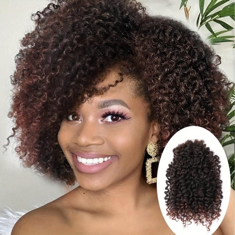 8 Inch Curly Crochet Hair Braids 10 Strands Pack