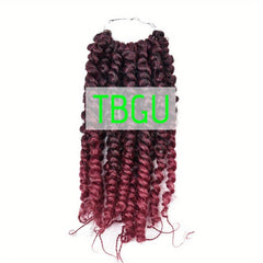 Passion Twist Crochet Hair 20-32cm Pre Twisted Short Extensions