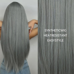 Gray Wig with Bangs 28 Inch Straight Synthetic Wig