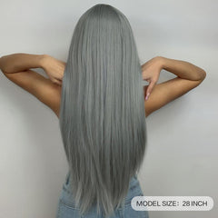 Gray Wig with Bangs 28 Inch Straight Synthetic Wig
