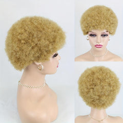Short Kinky Afro Curly Human Hair Wigs Natural Curly Pixie Cut Wig