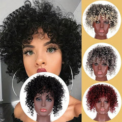 Synthetic Afro Kinky Curly Hair Toppers for Women with Clips