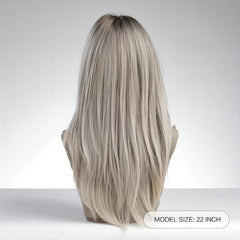 Layered Gradient Gray Brown Hair Wig for Women 55 88 Cm