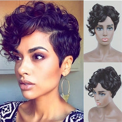 Short Afro Curly Wigs for Women Light Brown Dark Brown Daily Party