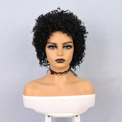 Short Pixie Cut Wig for Women Synthetic Layered Curly Natural Wavy