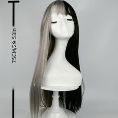 Long Straight Double Ponytail Synthetic Wig Anime Cosplay Halloween Party Wig