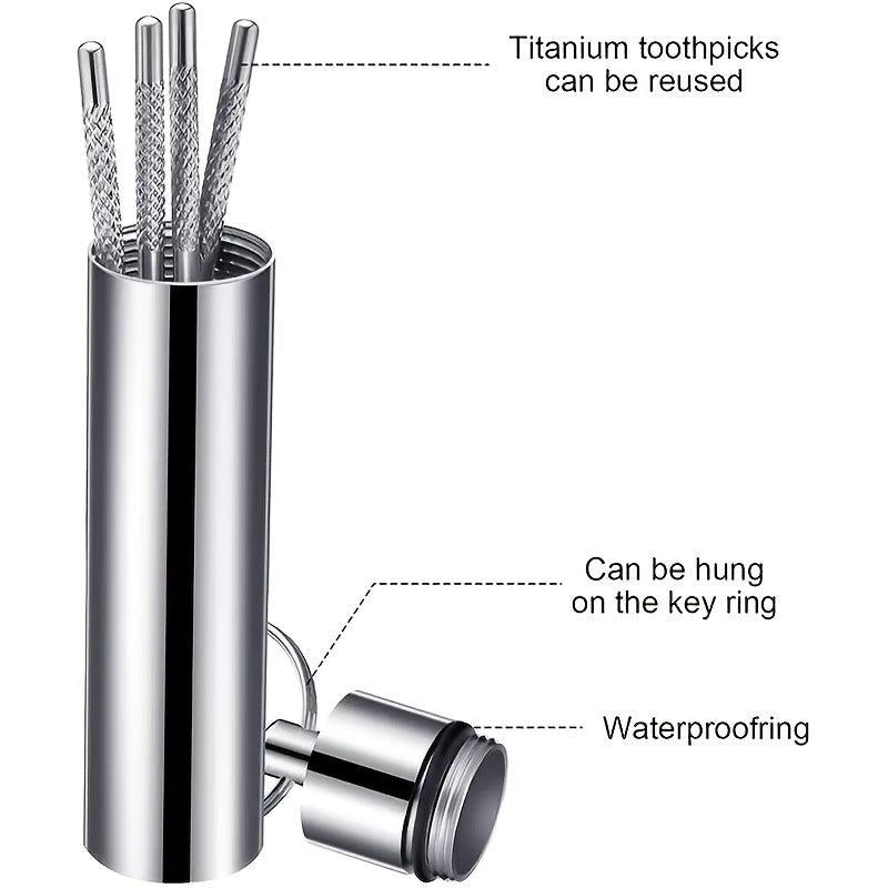 Stainless Steel Toothpicks Set with Keychain Holder