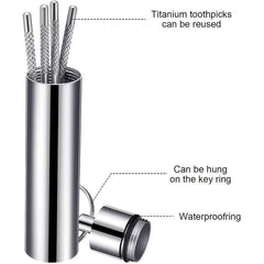 Stainless Steel Toothpicks Set with Keychain Holder