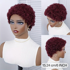 Brazilian Curly Human Hair Pixie Wig Short Kinky Curly Wigs for Women