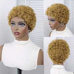 Brazilian Curly Human Hair Pixie Wig Short Kinky Curly Wigs for Women
