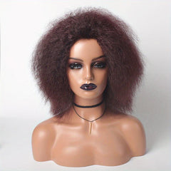 Short Afro Curly Wigs Soft Fluffy Hair Replacement Wigs For Women