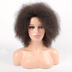 Short Afro Curly Wigs Soft Fluffy Hair Replacement Wigs For Women