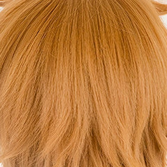 Short Spiky Brown Wig with Bangs for Anime Cosplay