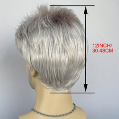 Short Straight Hair Wigs For Men Synthetic Daily Party Cosplay Use