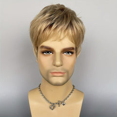 Short Straight Hair Wigs For Men Synthetic Daily Party Cosplay Use
