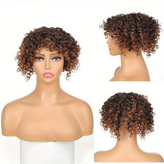 Afro Kinky Curly Hair Pieces Clip In Hair Extensions