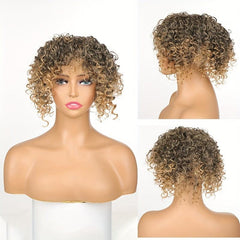 Afro Kinky Curly Hair Pieces Clip In Hair Extensions