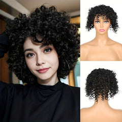 Afro Kinky Curly Hair Pieces Clip In Hair Extensions