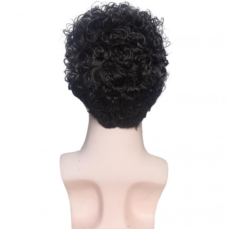 Men's Short Culy Hair Wigs 15-24 cm Synthetic Hair Replacement