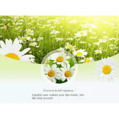 Chamomile Lip Balm for Moisturizing Lips in Autumn & Winter