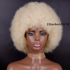 Soft Afro Kinky Curly Hair Wigs Synthetic None Lace Hair Wigs