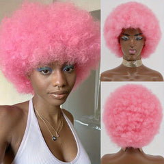 Soft Afro Kinky Curly Hair Wigs Synthetic None Lace Hair Wigs