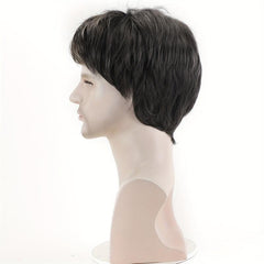 15 24 Cm Synthetic Straight Hair Wigs For Men Short Natural Straight Hair Wigs