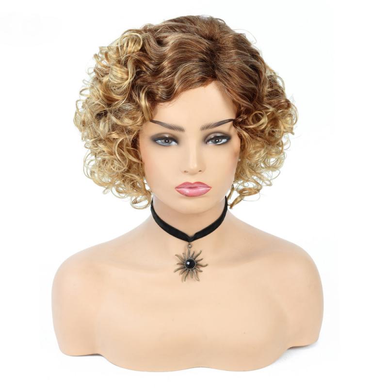 Short Curly Synthetic Wig Natural Side Part Fluffy Cosplay Party Wig