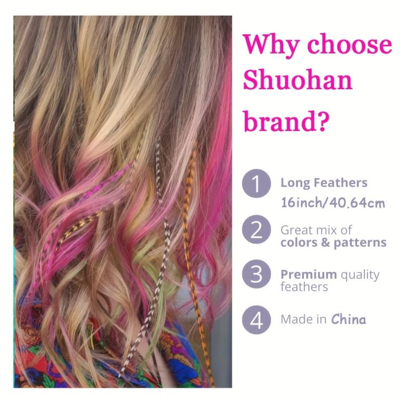 50pcs Colorful Strands Synthetic Hair Feathers Extensions Kit for Women Girls