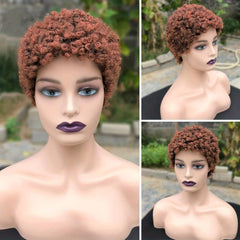 Short Curly Wigs For Women Afro Kinky Curly Wig Short Afro Curly Synthetic Wig