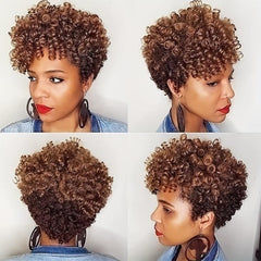 Short Curly Wigs For Women Afro Kinky Curly Wig Short Afro Curly Synthetic Wig