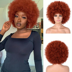 Short Afro Kinky Curly Wigs For Women Synthetic Fluffy And Soft Hair Wigs