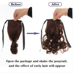 10 Inch Curly Hair Ponytail Wig Drawstring Ribbon & Clip Extension