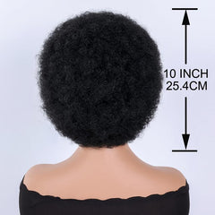 Afro Kinky Curly Wigs Short Fluffy Hair Synthetic Wig for Women