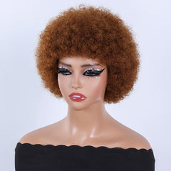Afro Kinky Curly Wigs Short Fluffy Hair Synthetic Wig for Women