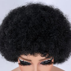 Afro Kinky Curly Wigs Short Fluffy Hair Synthetic Wig for Women