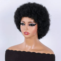 Afro Kinky Curly Wigs Short Fluffy Hair Synthetic Wig for Women